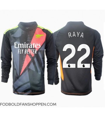 Arsenal David Raya #22 Målmand Tredjetrøje 2024-25 Langærmet